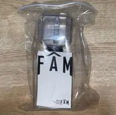【美品】timelesz LIVE TOUR 2025 FAM ペンライト