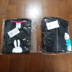 Item thumbnail for item fcd172b5-ee29-44e9-9d85-0703e54649db