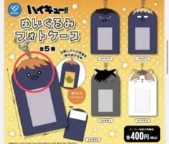ハイキュー ぬいぐるみフォトケース 日向翔陽