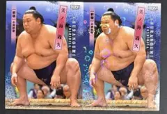 Item thumbnail for item 2728b2f5-c872-4b1f-9a90-aa4e9407af02