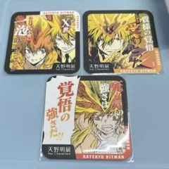家庭教師ヒットマンREBORN！ 天野明展 アートコースター プリーモ 沢田綱吉