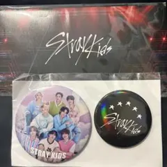 straykids S-Classシート アプグレ 特典グッズ 缶バッジ