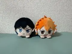 2点セット　日向翔陽 影山飛雄 ぬいぐるみ　もちころりん