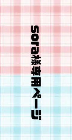 sora様専用ページ