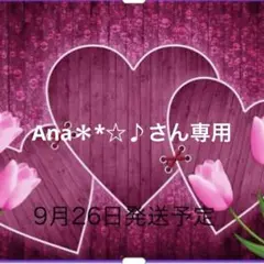 Ana＊*☆♪さん専用