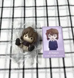 名探偵コナン 灰原哀