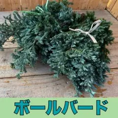 milles様 リクエスト 2点 まとめ商品