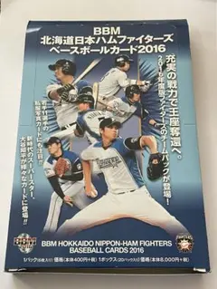 大谷翔平 ファイターズ 自分超え キャンペーンチケット 3枚セット 半券 大谷翔平 ファイターズ 自分超え キャンペーンチケット 3枚セット 半券