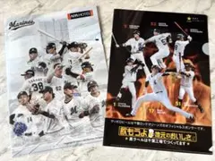 千葉ロッテマリーンズ クリアファイル2枚セット