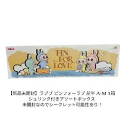 正規品・未開封 ラブブ Pin For Love 前半 A-Mアソートボックス