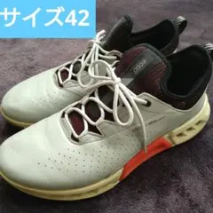 ★ECCO★美品♪ BIOM C4 ゴルフシューズGORE-TEX 42