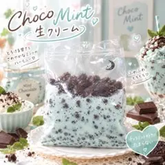 Choco Mint 生クリーム スクイーズ ストレス袋