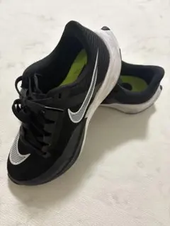 ライバルフライ3