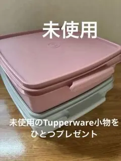 未使用 Tupperware保存容器 2個セット すのこ付