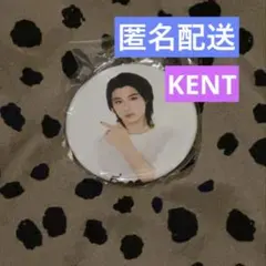 2025年最新】龍宮城 缶バッジの人気アイテム - メルカリ