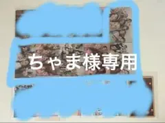 ちゃま様 専用ページ