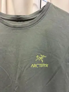 ARC'TERYX アークテリクス リザード トカゲ Tシャツ アウトドア 定番