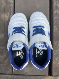 Item thumbnail for item 8300a5e3-b019-48d4-b789-a85e47103f93