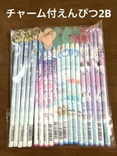 【新品】チャーム付き　2Bえんぴつ　4柄　各５本　20本　まとめ売り
