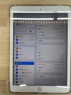 iPad Pro 9.7インチ　訳ありジャンク品