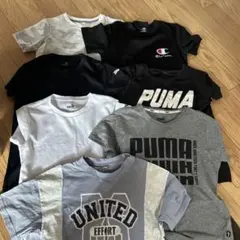 PUMA Champion Tシャツセット 7枚