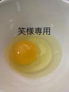 笑様専用　平飼い卵90個