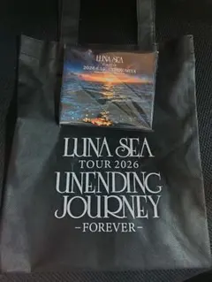 LUNA SEA 30th Anniversary Turntable - メルカリ