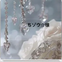 ちゾウ☆‎〝引越しに伴い断捨離中〟様