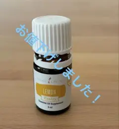 2026年最新】ヤングリヴィングの人気アイテム - メルカリ