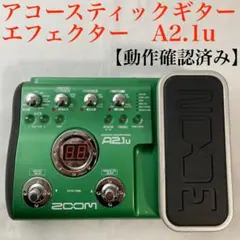 2026年最新】ZOOM アコースティックエフェクツペダル A2の人気アイテム