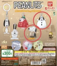 PEANUTS めじるしアクセサリー　FUNNYver スヌーピー　2点セット