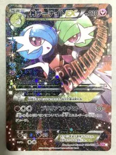 2025年最新】シリーズ：XY／XYBREAK ポケモンカードゲームの人気