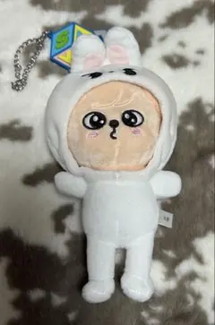 skzoo パピーエム ぬいぐるみ フェイスキーリング セット Stray Kids SKZOO PuppyM パピーム フェイスキーリング - メルカリ