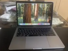 ジャンク MacBook Pro A2159 2019 i5/8GB/128GB