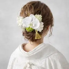 胡蝶蘭髪飾り ドライフラワー 和装 成人式 結婚式 振袖 卒業式袴 水引き 洋装