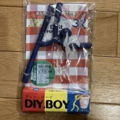 DIY.BOY