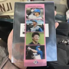 北海道日本ハムファイターズ 西川遥輝 フォトステッカー