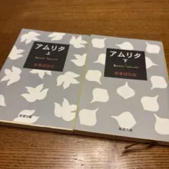 アムリタ 上下巻セット