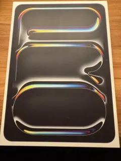 アップル iPad Pro M4 11インチ WiFi 256GB スペースブラ