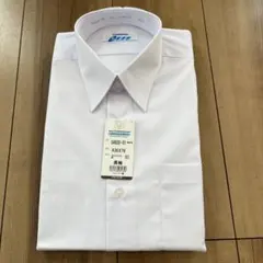 Item thumbnail for item b1c2f3ce-899f-41ac-a8aa-5a970b50bbe0