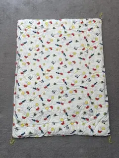 Item thumbnail for item 5f085e1c-3526-4202-9453-be62b5d38cc6