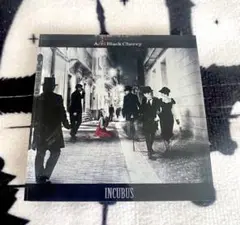 Acid Black Cherry アクリルマグネット　INCUBUS