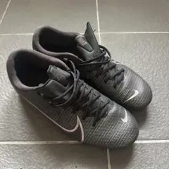 ナイキトレシュー