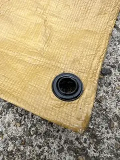 Item thumbnail for item 8b535445-1b10-4110-879e-80bdb1625cb1