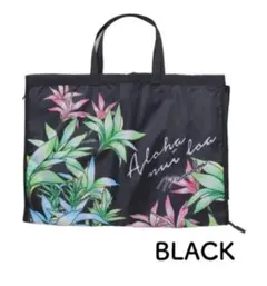 Item thumbnail for item 38cd3473-c0cf-4a24-a051-323707cfd7c7