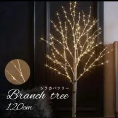 Item thumbnail for item 83f6c374-34f6-440a-a43e-45b1954a4af8