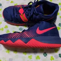 Nike バスケットボールシューズ ネイビー/ピンク