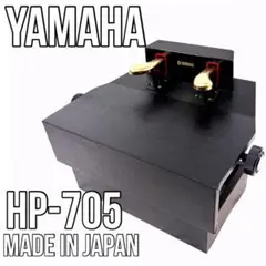 2026年最新】YAMAHA DGPの人気アイテム - メルカリ