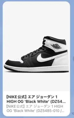 レア　限定色　Nike Air Jordan 1 High OG