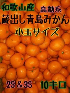 ■和歌山県産 高糖系 青島みかん 小玉サイズ 10キロ ■